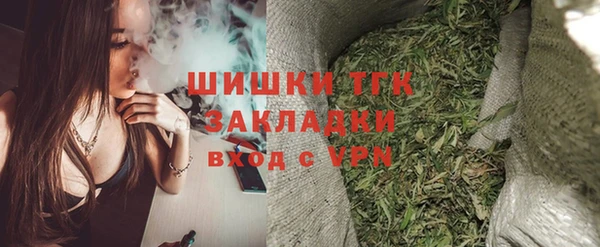 гидра Абаза