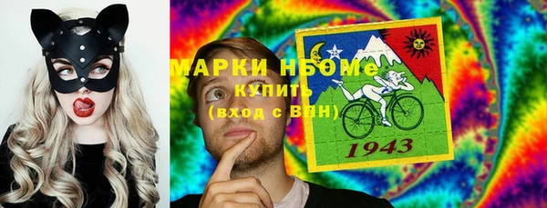 гидра Абаза