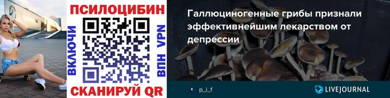 Псилоцибиновые грибы Psilocybine cubensis  Ачхой-Мартан 